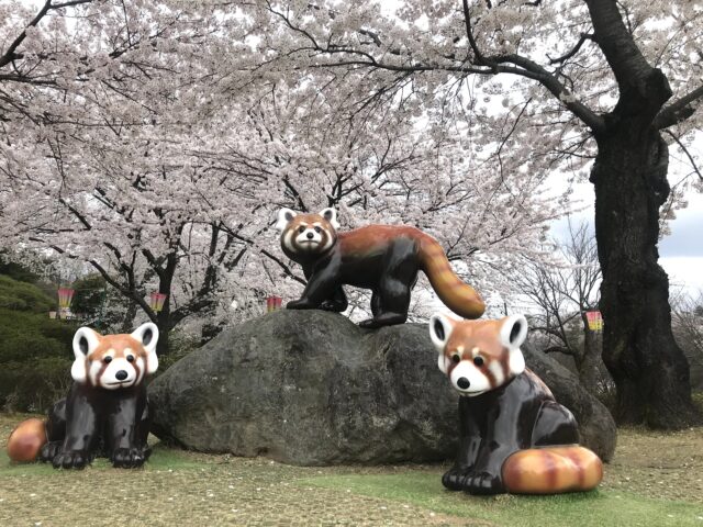 西山公園のレッサーパンダモニュメント